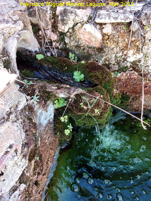 Fuente de las Caadas - Fuente de las Caadas. 