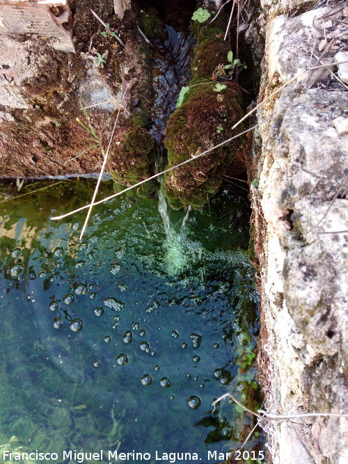 Fuente de las Caadas - Fuente de las Caadas. 