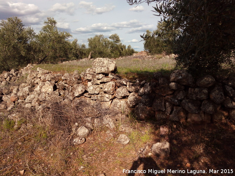 Cortijo del Mollejn Nuevo - Cortijo del Mollejn Nuevo. Albarradas