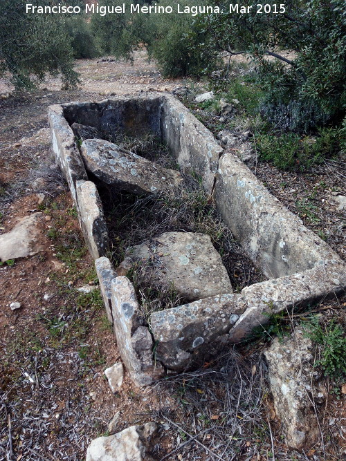 Pozo del Mollejn - Pozo del Mollejn. Pilar