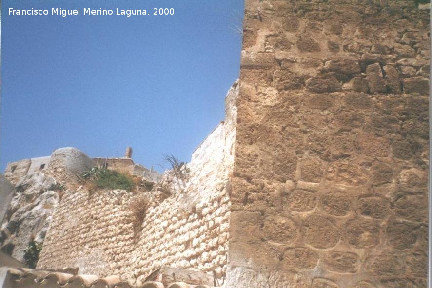 Castillo de las Peuelas - Castillo de las Peuelas. Murallas del castillo y detalle de la saetera del torren rectangular