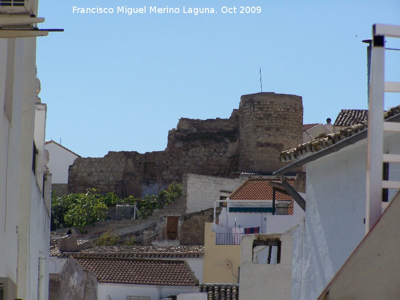 Castillo de las Peuelas - Castillo de las Peuelas. Murallas y torren circular