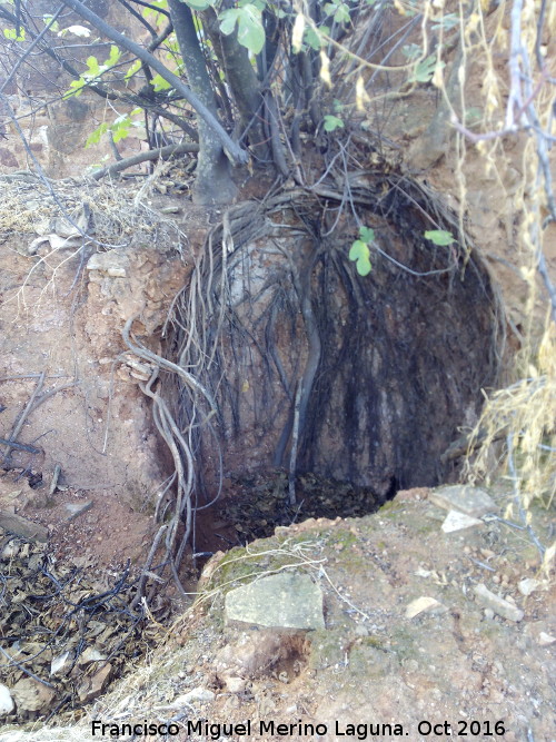 Casera de Santa Amalia - Casera de Santa Amalia. Hueco de tinaja