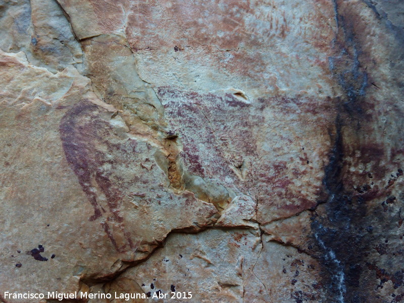 Pinturas rupestres de la Tabla del Pochico V - Pinturas rupestres de la Tabla del Pochico V. Zooformo central