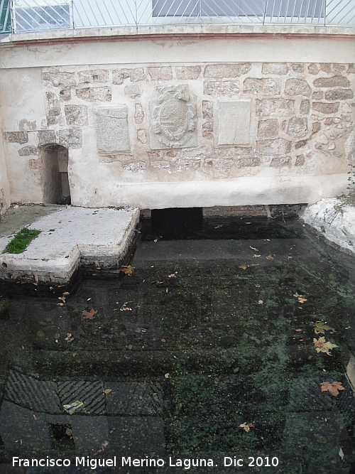 Fuente de la Reja - Fuente de la Reja. 