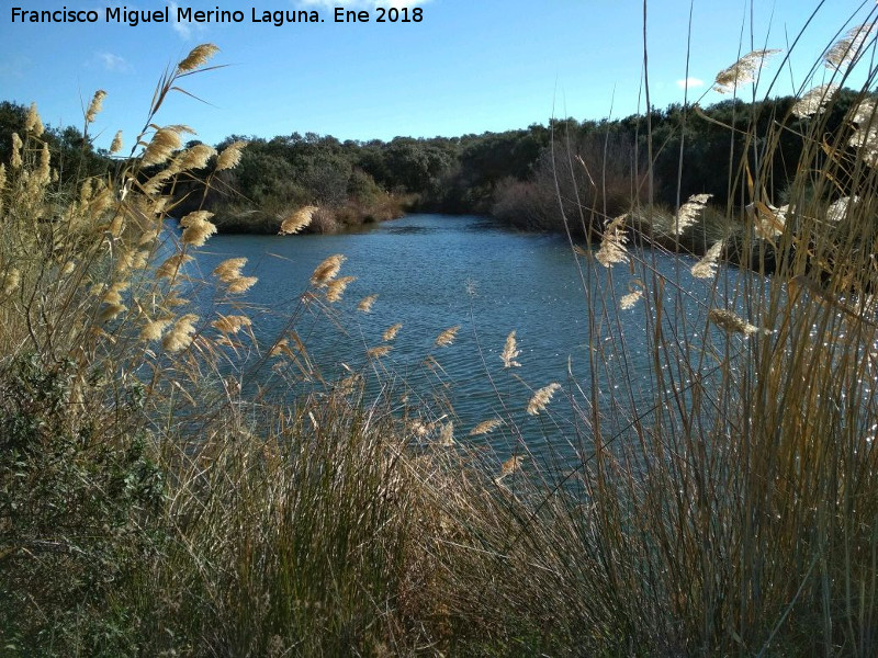 Laguna de Burguillos - Laguna de Burguillos. 