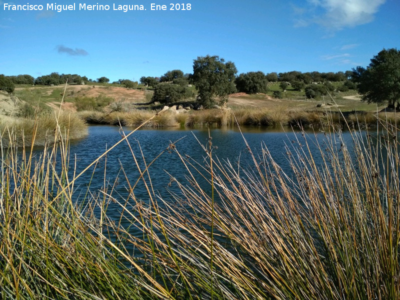 Laguna de Burguillos - Laguna de Burguillos. 