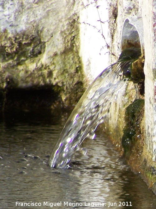 Fuente del Comendador - Fuente del Comendador. Cao