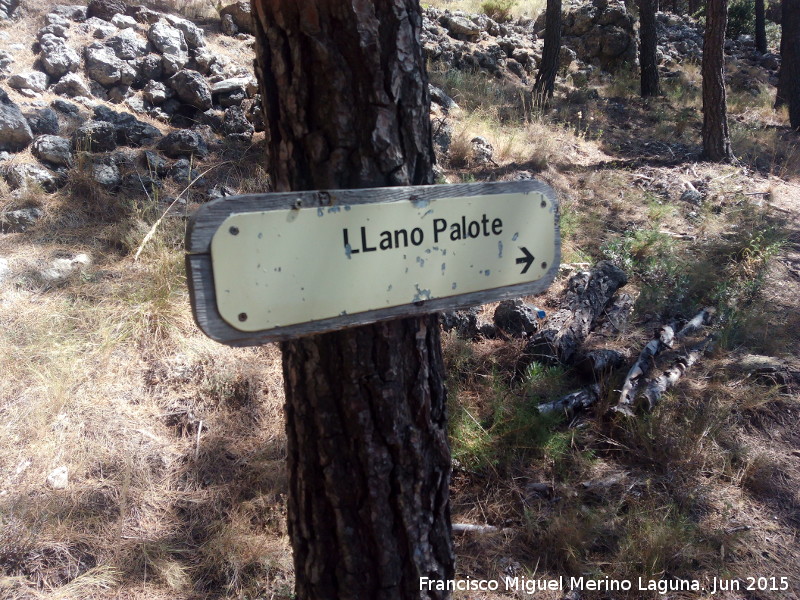 Llano Palote - Llano Palote. 