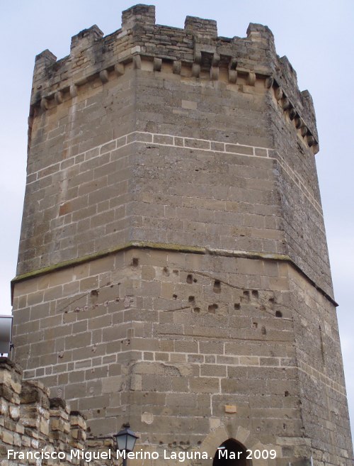 Castillo de Porcuna - Castillo de Porcuna. 