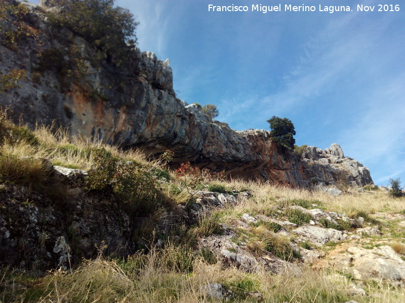 Pinturas rupestres de las Cuevas del Curro Abrigo I - Pinturas rupestres de las Cuevas del Curro Abrigo I. Abrigo