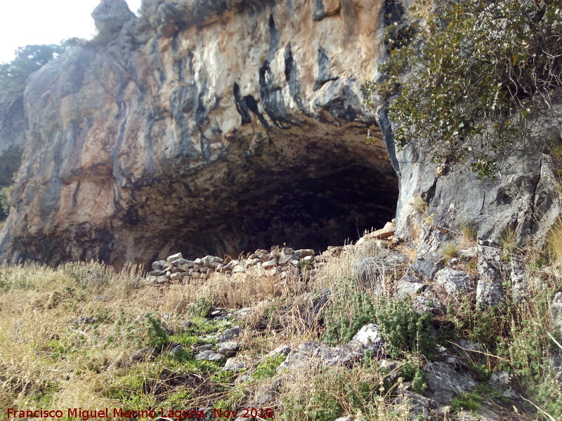 Pinturas rupestres de las Cuevas del Curro Abrigo II - Pinturas rupestres de las Cuevas del Curro Abrigo II. Cueva