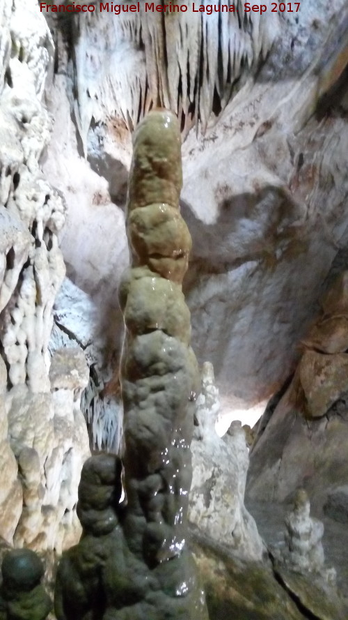 Cueva de los Murcilagos - Cueva de los Murcilagos. Estalacmita