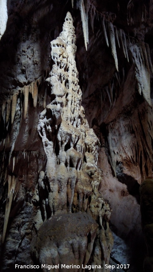 Cueva de los Murcilagos - Cueva de los Murcilagos. Estalacmita