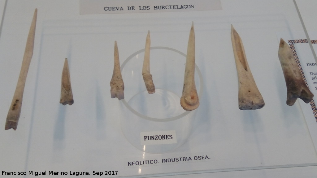 Cueva de los Murcilagos - Cueva de los Murcilagos. Punzones de hueso. Museo Histrico de Zuheros