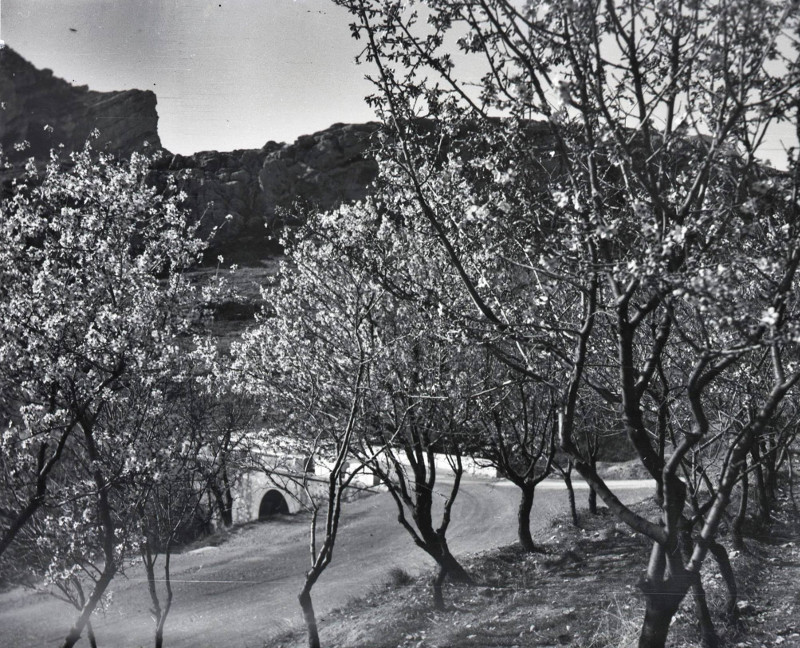 Puente de la Circunvalacin - Puente de la Circunvalacin. Foto antigua IEG