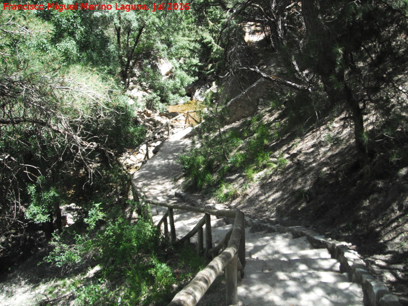 Nacimiento del Guadalquivir - Nacimiento del Guadalquivir. Escaleras de bajada al nacimiento