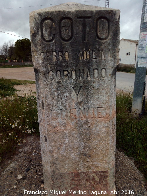 Cerro Molina - Cerro Molina. Hito