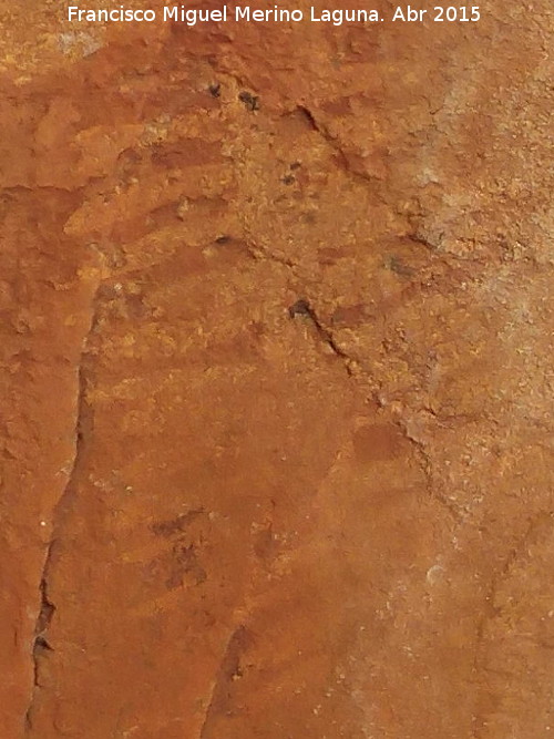 Pinturas rupestres del Abrigo de la Cueva del Santo Grupo II - Pinturas rupestres del Abrigo de la Cueva del Santo Grupo II. Ramiforme blanco