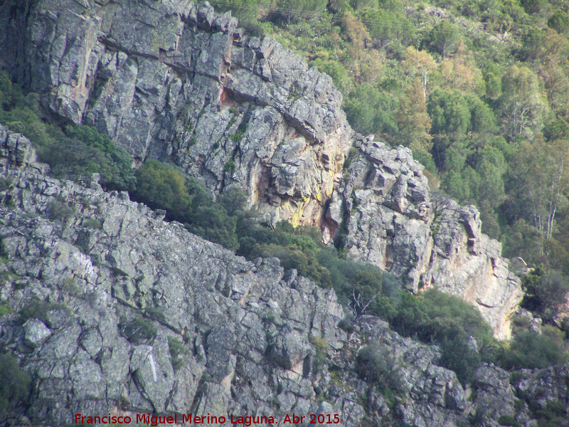 Collado de la Ginesa - Collado de la Ginesa. Poyo