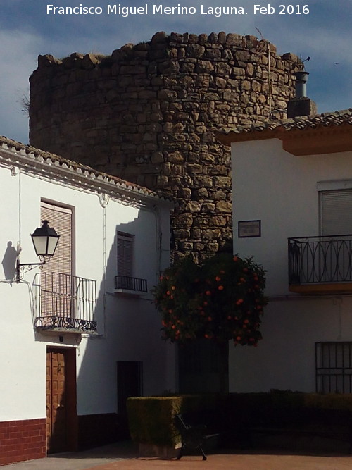 Castillo de las Canalejas - Castillo de las Canalejas. 