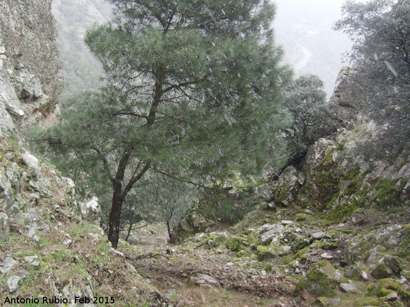 Paso de los rganos - Paso de los rganos. Nevando