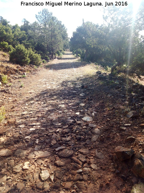 Calzada de El Empedraillo - Calzada de El Empedraillo. 