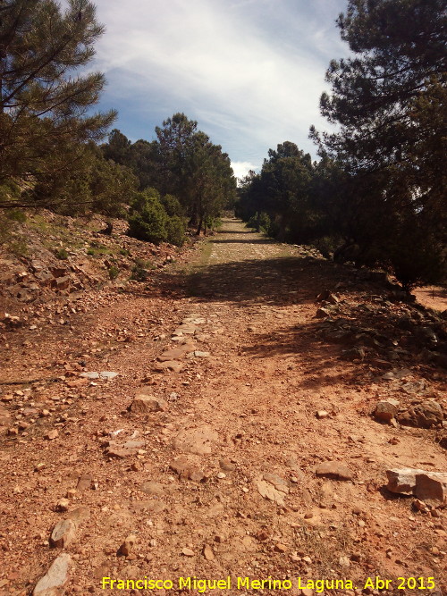 Calzada de El Empedraillo - Calzada de El Empedraillo. 