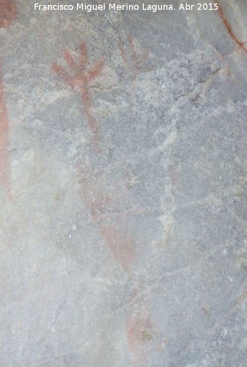 Pinturas rupestres del Abrigo de los rganos I - Pinturas rupestres del Abrigo de los rganos I. Ciervo en la berrea