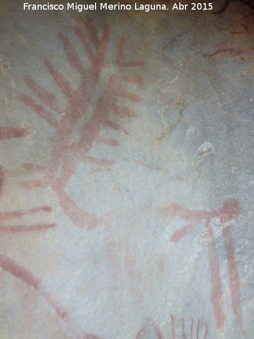 Pinturas rupestres del Abrigo de los rganos I - Pinturas rupestres del Abrigo de los rganos I. Ciervo