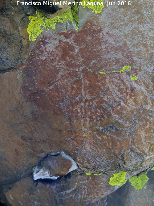 Pinturas rupestres de la Graja de Miranda I - Pinturas rupestres de la Graja de Miranda I. Posible rbol y restos de figuras