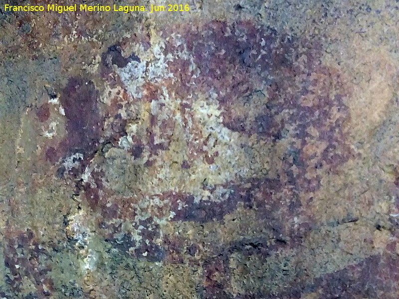 Pinturas rupestres de la Graja de Miranda I - Pinturas rupestres de la Graja de Miranda I. Cara del antropomorfo izquierdo