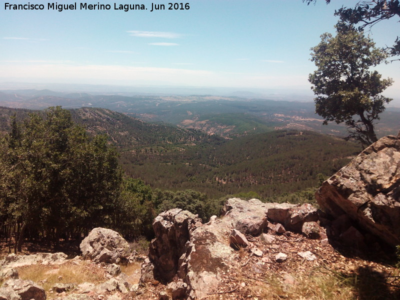 Pinturas rupestres de la Graja de Miranda I - Pinturas rupestres de la Graja de Miranda I. Vistas