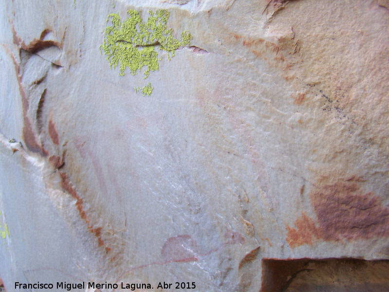 Pinturas rupestres de las Vacas del Retamoso XII Grupo II - Pinturas rupestres de las Vacas del Retamoso XII Grupo II. Panel
