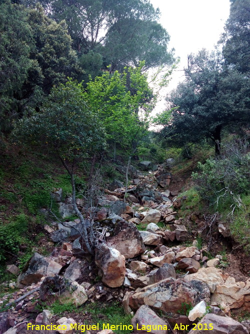 Arroyo de la Niebla - Arroyo de la Niebla. 