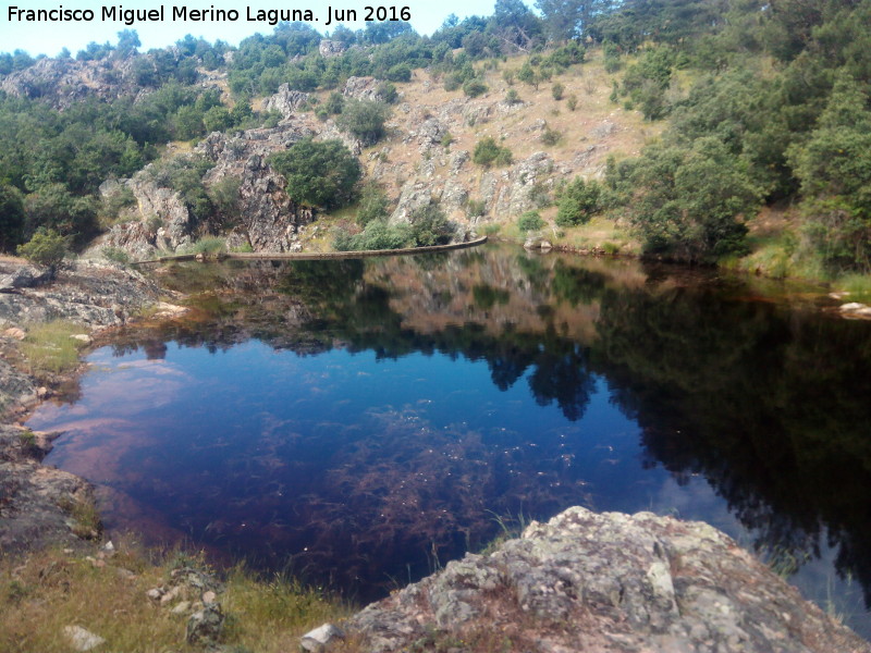 Pantanillo del Arroyo del Rey - Pantanillo del Arroyo del Rey. 