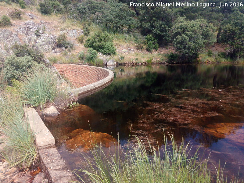 Pantanillo del Arroyo del Rey - Pantanillo del Arroyo del Rey. Presa