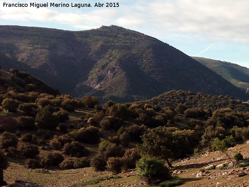 Cerro Prieto - Cerro Prieto. 