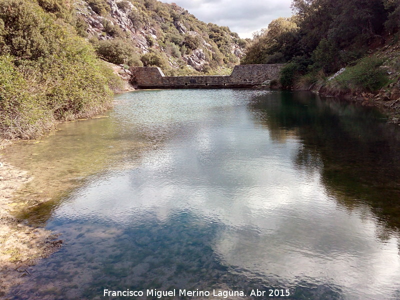 Presilla del Arroyo de Navalayegua - Presilla del Arroyo de Navalayegua. 