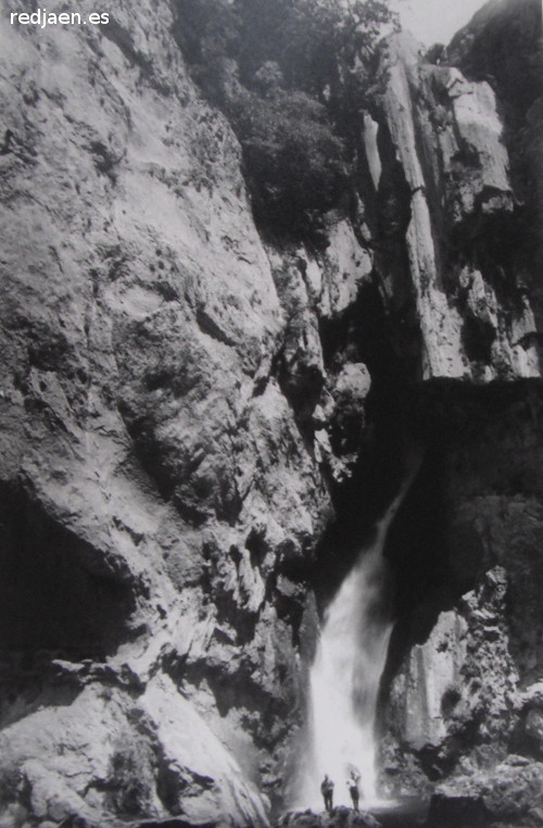 Cascada del Salto de los rganos - Cascada del Salto de los rganos. 1950 foto de E. Henares