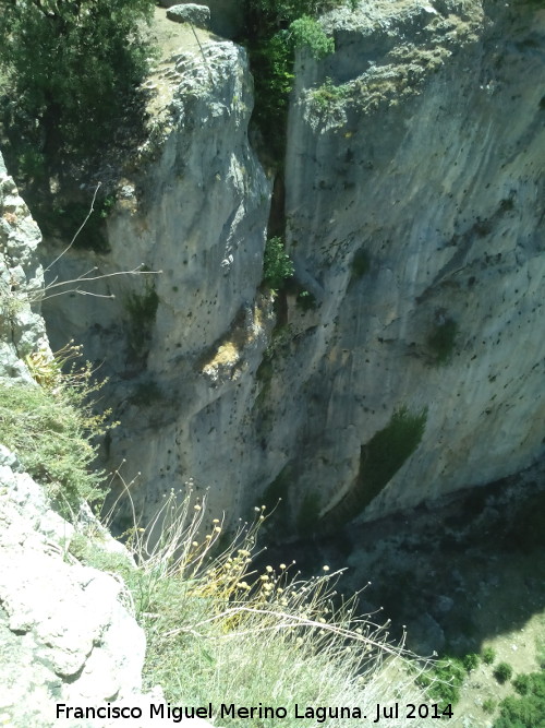 Cascada del Salto de los rganos - Cascada del Salto de los rganos. Desde su parte alta