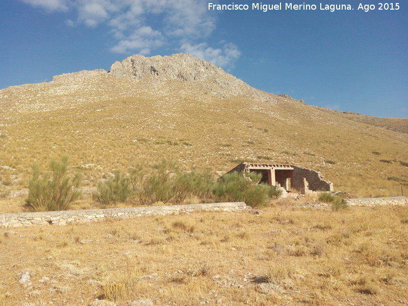 Cortijo del Portillo - Cortijo del Portillo. 