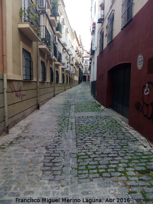 Calle Pozo - Calle Pozo. 