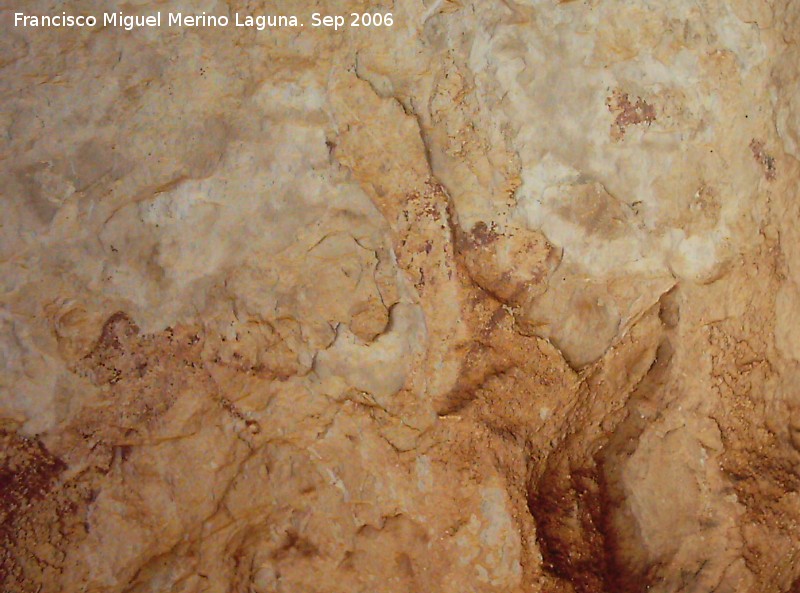 Pinturas rupestres del Abrigo de la Caada de la Cruz - Pinturas rupestres del Abrigo de la Caada de la Cruz. Segundo ciervo detrs del primero