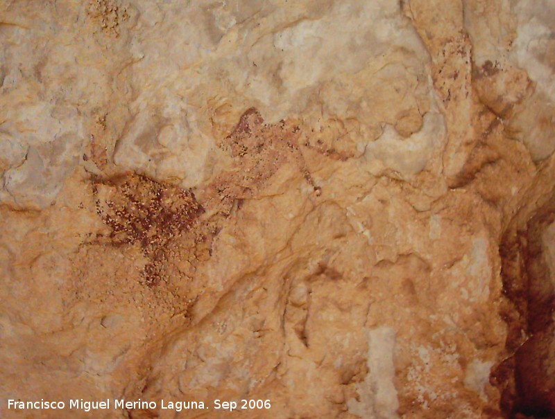 Pinturas rupestres del Abrigo de la Caada de la Cruz - Pinturas rupestres del Abrigo de la Caada de la Cruz. Primer ciervo seguido del segundo
