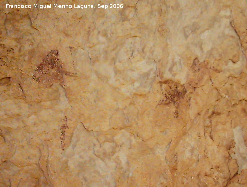 Pinturas rupestres del Abrigo de la Caada de la Cruz - Pinturas rupestres del Abrigo de la Caada de la Cruz. El arquero principal y el primer ciervo