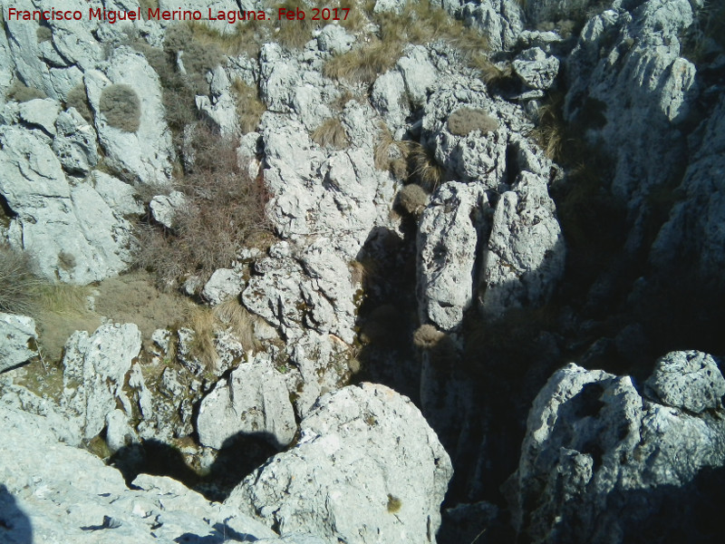 Sima del Aznaitn de Albanchez - Sima del Aznaitn de Albanchez. Sima desde sus bordes rocosos