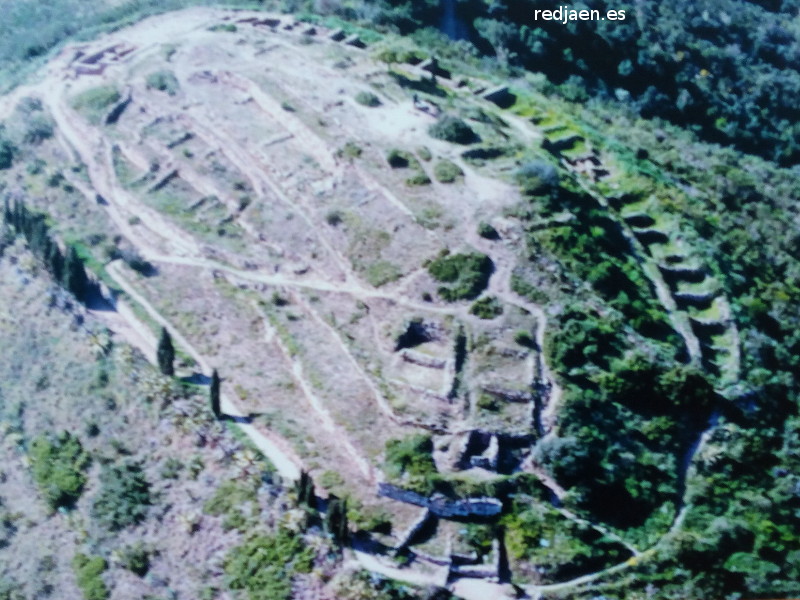 Oppidum Puig Castellar - Oppidum Puig Castellar. Foto area