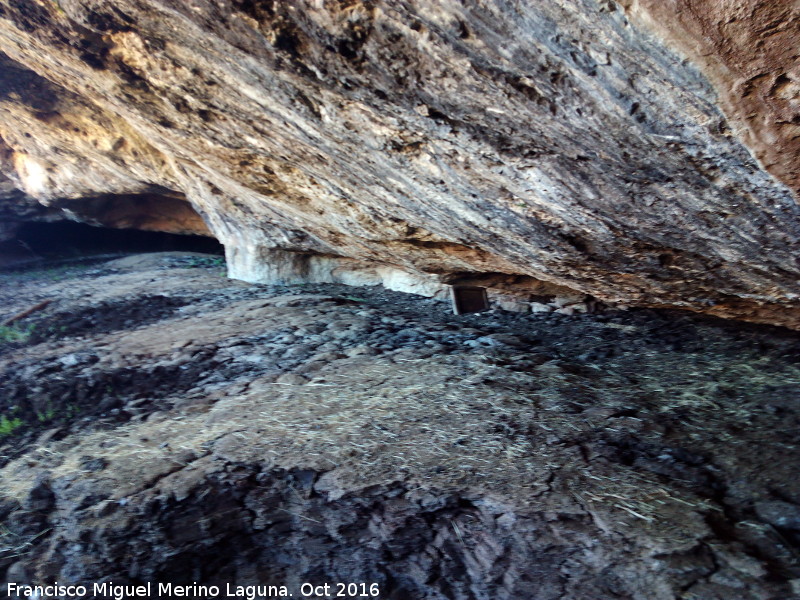 Yacimiento de la Cueva Del Nacimiento - Yacimiento de la Cueva Del Nacimiento. Interior