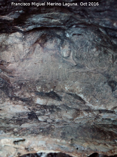 Yacimiento de la Cueva Del Nacimiento - Yacimiento de la Cueva Del Nacimiento. Marcas de contadero